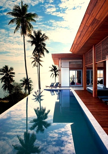 Luxury Resort and Pool With Palm Trees