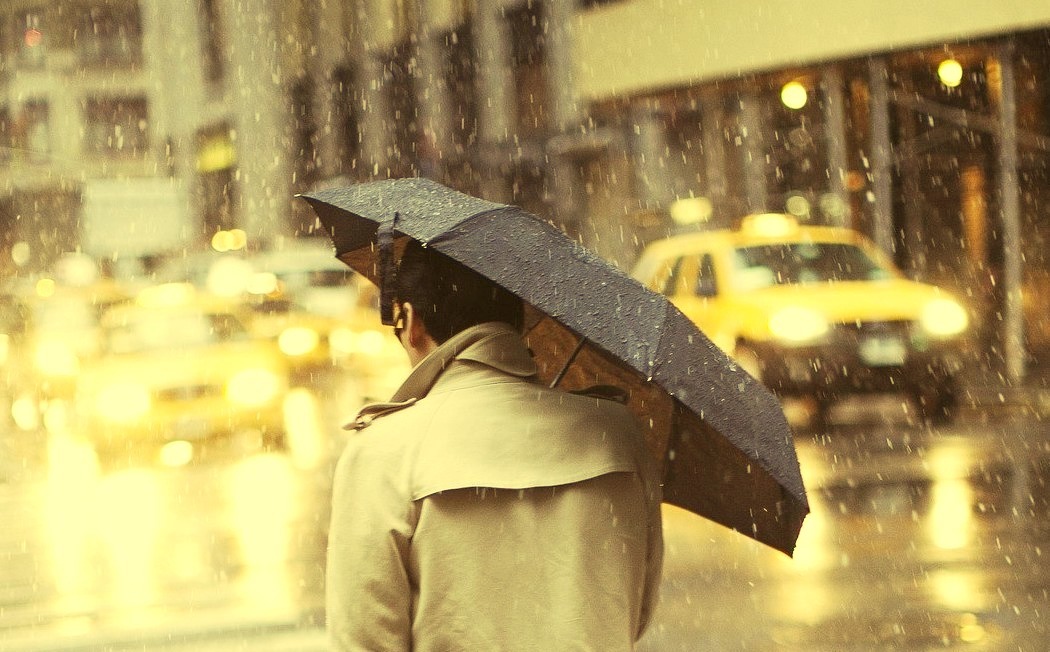 Gentleman, Coats, In A Hurry, Umbrella, Businessman